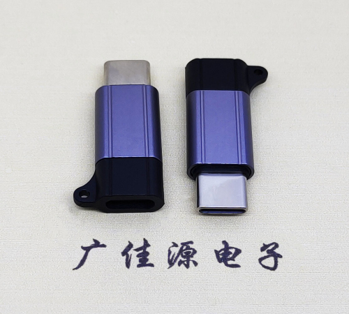 宝安Type-C母转Type-C公 USB3.1 PD100W快冲接口